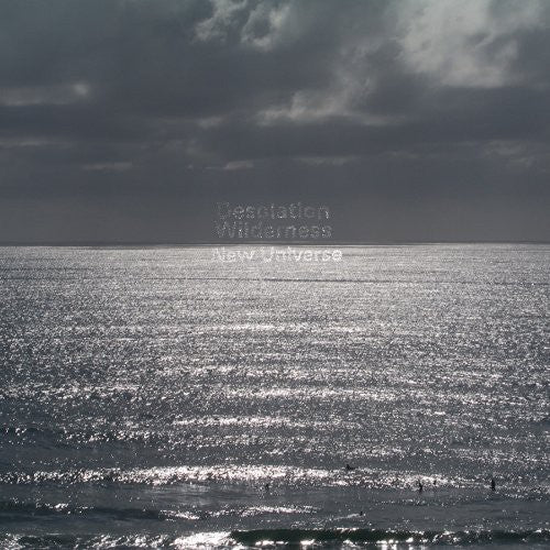 the album cover for Desolation Wilderness - New Universe