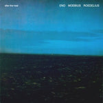 Roedelius - After the Heat (Vinyl)