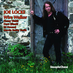 the album cover for Joe Locke - Wire Walker