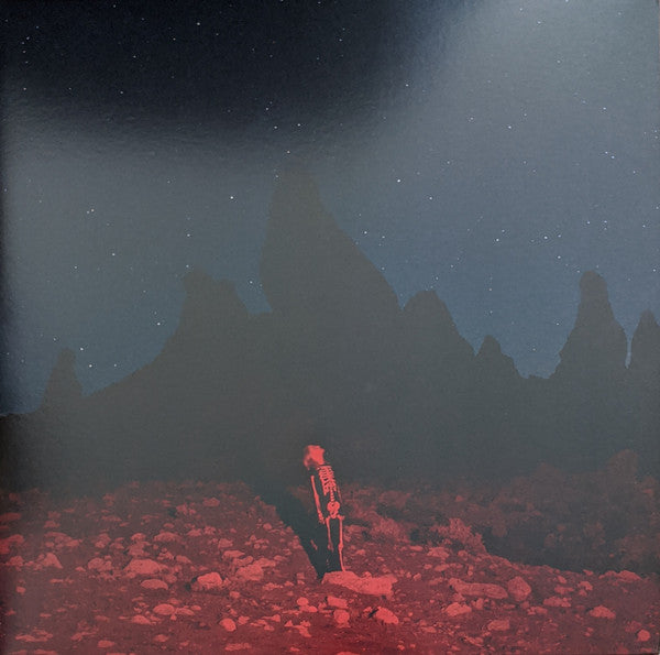 Phoebe Bridgers : Punisher (LP, Album, Ltd, Sea)