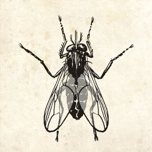 the album cover for Chubby Checker - The Fly