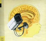 the album cover for Hidden Cameras - Origin: Orphan