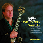the album cover for Dave Stryker - Strike Zone