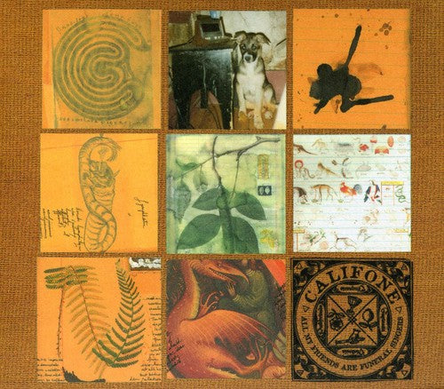 the album cover for Califone - All My Friends Are Funeral Singers