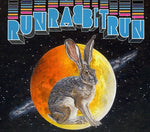 the album cover for Sufjan Stevens - Run Rabbit Run