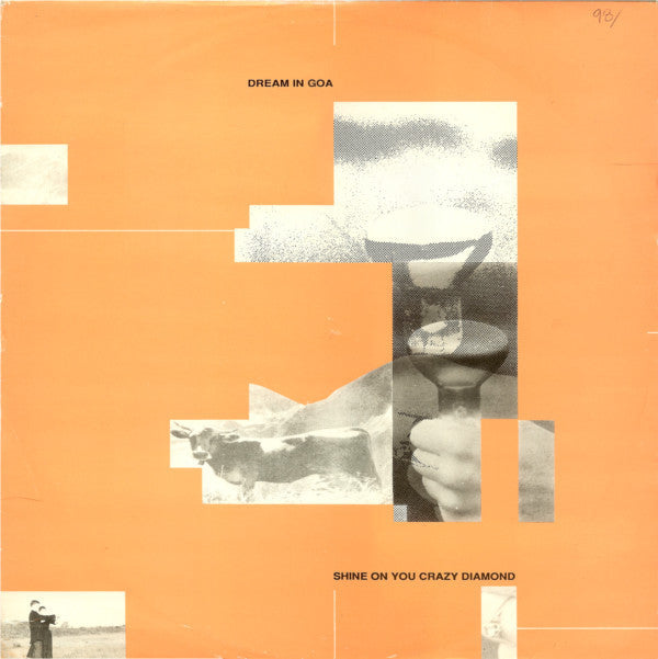 Dream In Goa : Shine On You Crazy Diamond (12")