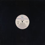 Zhané : Vibe (Remixes) (12", Promo, Lab)