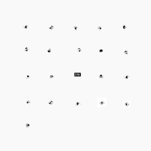 Split Series #20 (Vinyl)