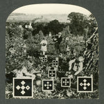 the album cover for Nesey Gallons - Eyes and Eyes and Eyes Ago