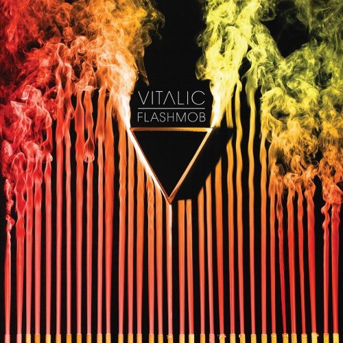 the album cover for Vitalic - Flashmob