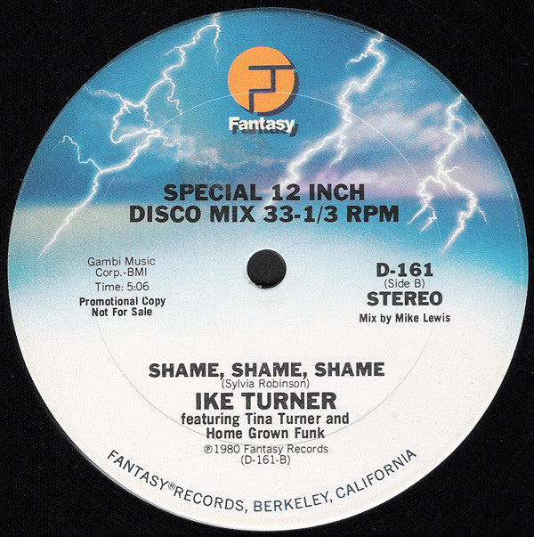 Ike Turner Featuring Tina Turner And Home Grown Funk : Party Vibes (12", Promo)