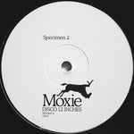 C2C4 : Specimen 1 & 2 (12")