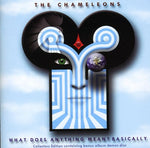 the album cover for Chameleons - What Does Anything Mean? Basically [Import]