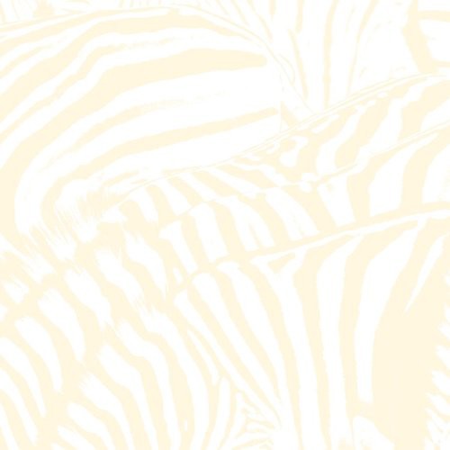 Casa de Playa - Sueño Adolescente (Vinilo)