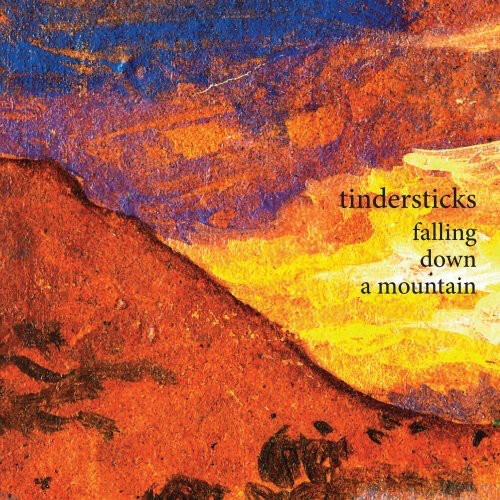 the album cover for Tindersticks - Falling Down a Mountain
