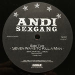 Andi Sexgang* : Seven Ways To Kill A Man (12")