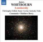 the album cover for Matthew Berry - Luminosity