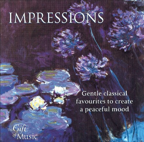 the album cover for Martin Souter - Impressions
