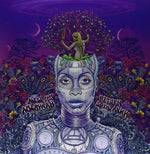 Erykah Badu - New Amerykah Part Two: Return of the Ankh (Vinyl)