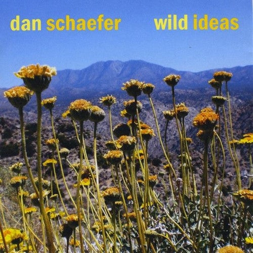 the album cover for Dan Schaefer - Wild Ideas
