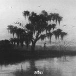vide (2) : Hanging By The Bayou Light (Cass, Album, Ltd)