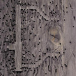 the album cover for Dj Signify - Sleep No More