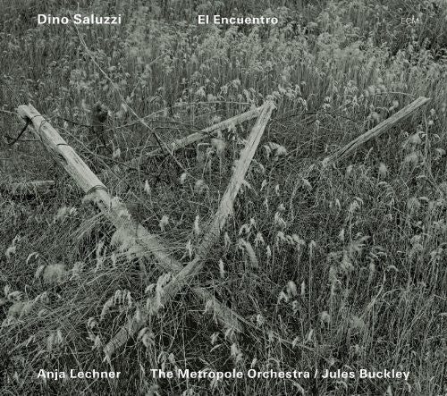 the album cover for Dino Saluzzi - El Encuentro