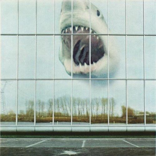 the album cover for Black Mountain - Wilderness Heart [Digipak]