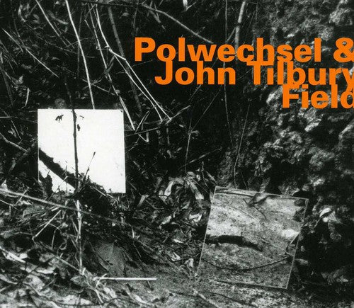 the album cover for Polwechsel & John Tilbury - Field [Import]