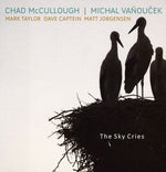 the album cover for Chad Mccullough & Michal Vanoucek - Sky Cries