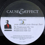 Cause & Effect : You Think You Know Her (12", Single)