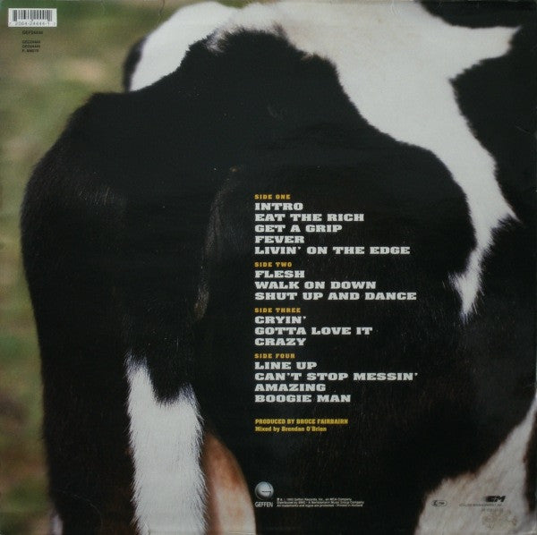 Aerosmith : Get A Grip (2xLP, Album)