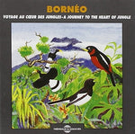the album cover for Sounds Of Nature - Borneo: Journey Heart of Jungle