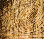 the album cover for Tomas Phillips & Marihiko Hara - Prosa