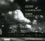the album cover for Caroline Weynants - Desire: Cantatas 32 49 &154 [Digipak]