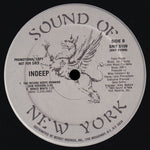 Indeep : The Record Keeps Spinning (12", Promo)