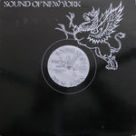 Indeep : The Record Keeps Spinning (12", Promo)
