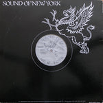 Indeep : The Record Keeps Spinning (12", Promo)