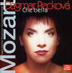 the album cover for JiÅ™Ã­ SulÅ¾enko - Arias