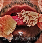 Toro y Moi - Underneath the Pine (レコード)