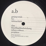Rechenzentrum : Director's Cut (2xLP, Album)