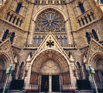 the album cover for GDP - Useless Eaters