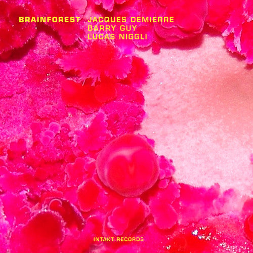 the album cover for Barry Guy - Brainforest [Import]