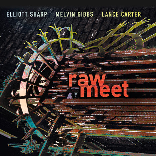 the album cover for Elliott Sharp - Raw Meet [Import]