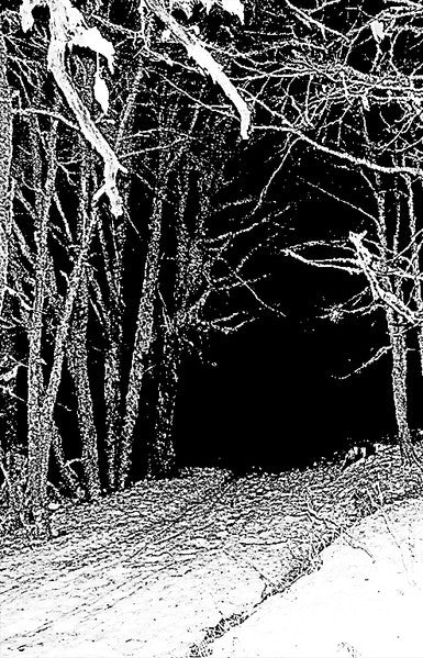 Howling Nightwinds : Demo I (Cass, Ltd, Num)
