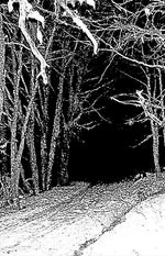 Howling Nightwinds : Demo I (Cass, Ltd, Num)