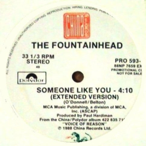 The Fountainhead : Someone Like You (12", Promo)