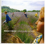 Damon y Naomi - Ritmos falsos y corazones verdaderos (Vinilo)