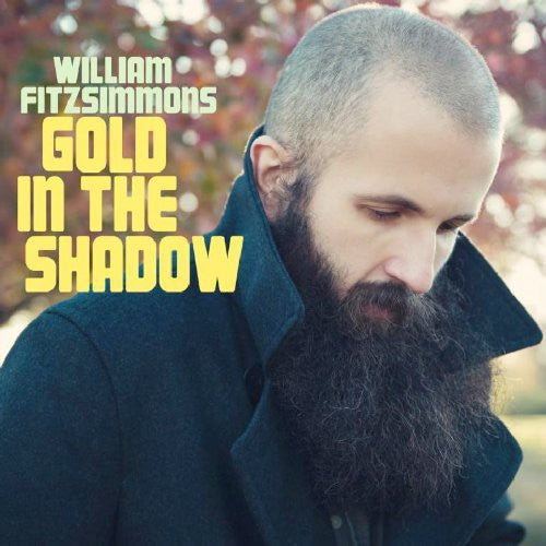 the album cover for William Fitzsimmons - Gold in the Shadow