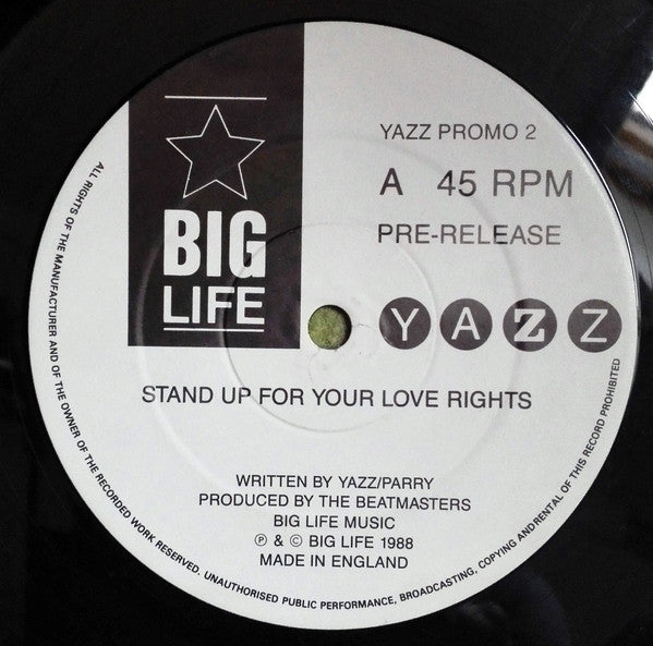 Yazz : Stand Up For Your Love Rights (12", Promo)